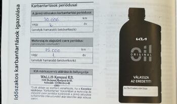 KIA RIO 1.0 T-GDI Silver Magyarországi! Sérülésmentes! Első tulajdonostól! full
